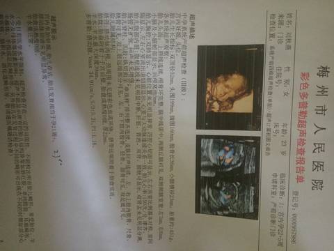 journal_insert_pic_758579307