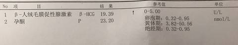 journal_insert_pic_759605740