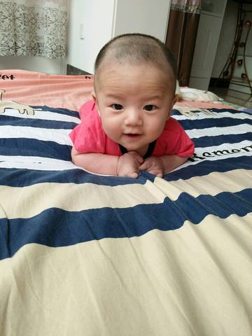 journal_insert_pic_761392459