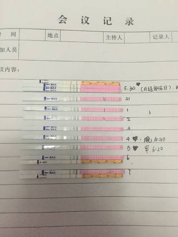 journal_insert_pic_762815561