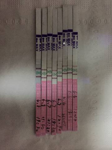 journal_insert_pic_763473086