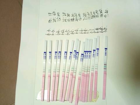journal_insert_pic_763454803