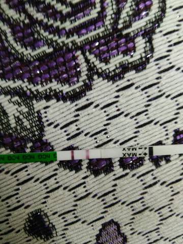journal_insert_pic_764311670