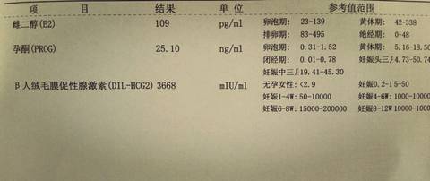 journal_insert_pic_764068404