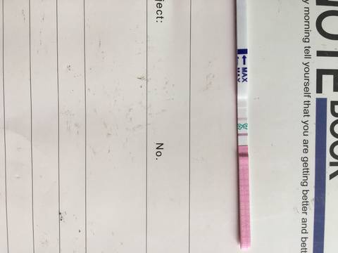 journal_insert_pic_763907296