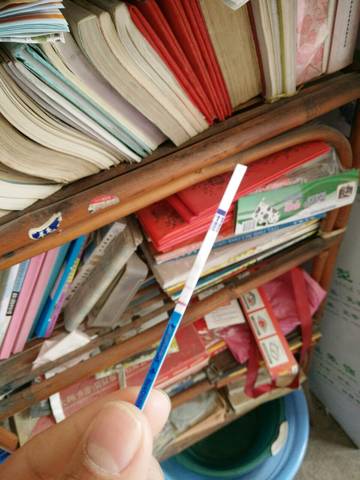 journal_insert_pic_763838075