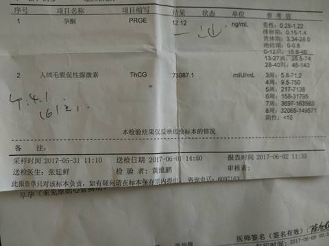 journal_insert_pic_763872006