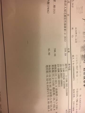 journal_insert_pic_765034084