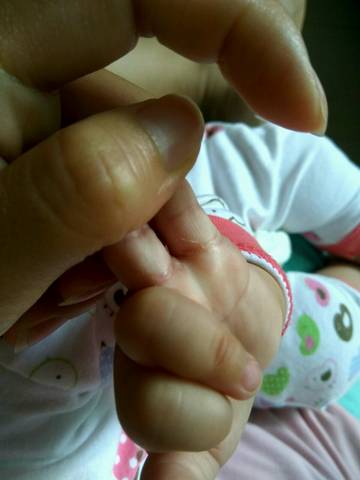 journal_insert_pic_764630980
