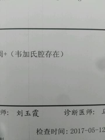 journal_insert_pic_767943888