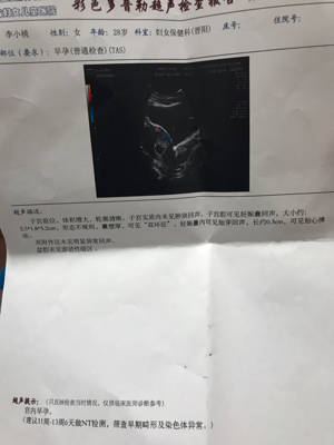journal_insert_pic_767953406