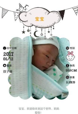 journal_insert_pic_768297738