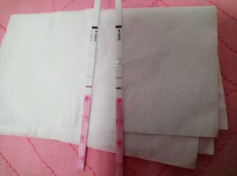 journal_insert_pic_768346491