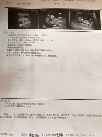 journal_insert_pic_768768948