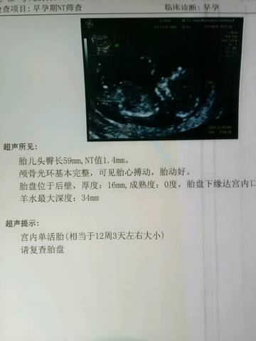 journal_insert_pic_769073931