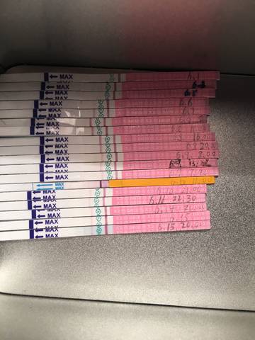 journal_insert_pic_769128392