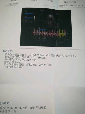 journal_insert_pic_768769491
