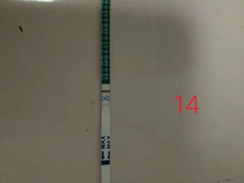 journal_insert_pic_769757024