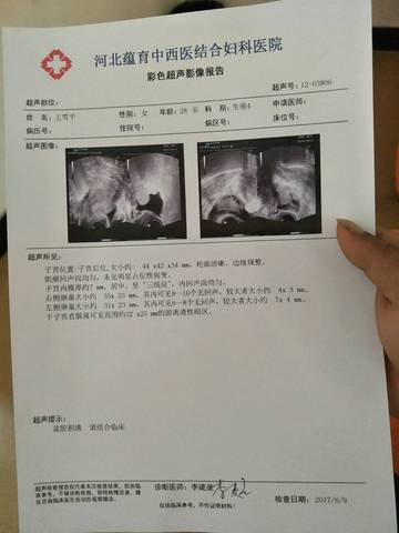 journal_insert_pic_770480736