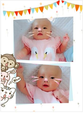 journal_insert_pic_770270410