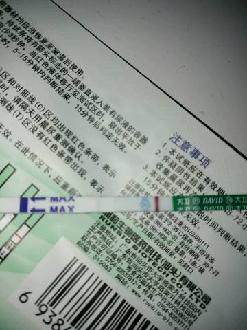journal_insert_pic_770870405