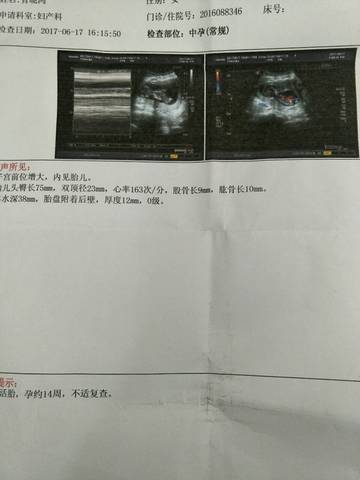 journal_insert_pic_770946359