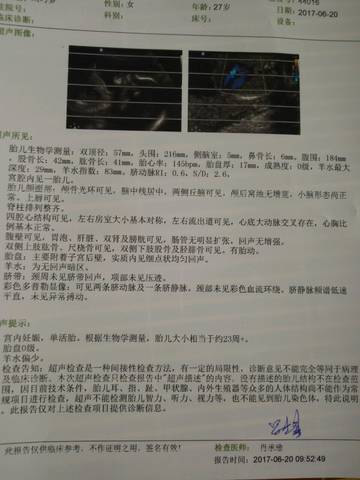 journal_insert_pic_772663634