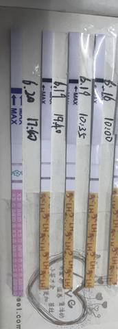 journal_insert_pic_772945470