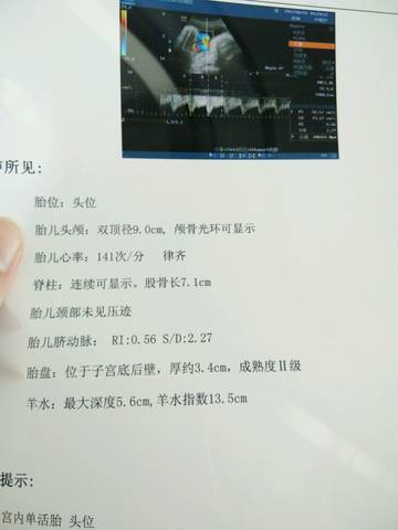 journal_insert_pic_773559522