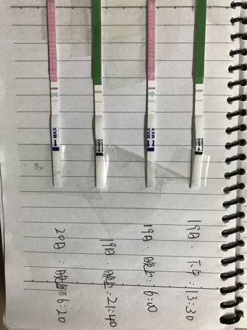 journal_insert_pic_773931503