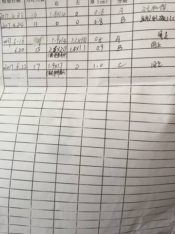 journal_insert_pic_774447153