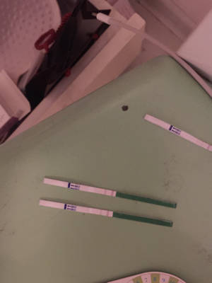journal_insert_pic_774645661