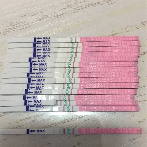 journal_insert_pic_774292514