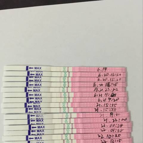 journal_insert_pic_774534497