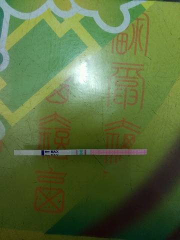 journal_insert_pic_775061612