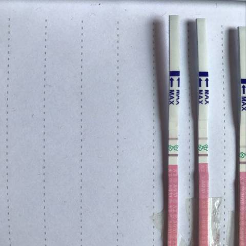 journal_insert_pic_775196276