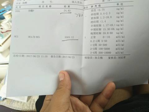 journal_insert_pic_775194130