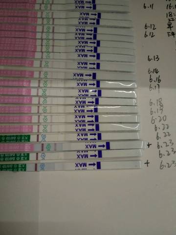 journal_insert_pic_774980684