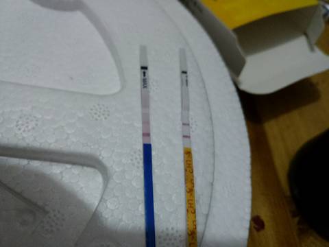 journal_insert_pic_774907527
