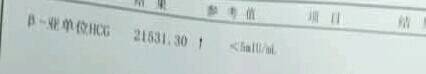 journal_insert_pic_775238906