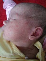 journal_insert_pic_775234558