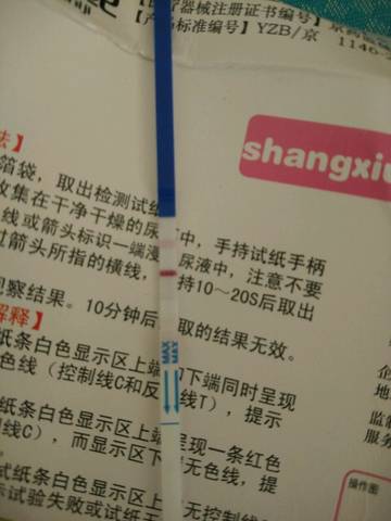 journal_insert_pic_775858956