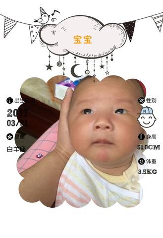journal_insert_pic_776039584