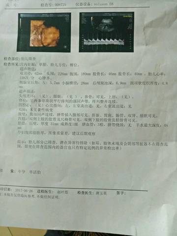 journal_insert_pic_778619383