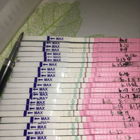 journal_insert_pic_778784468