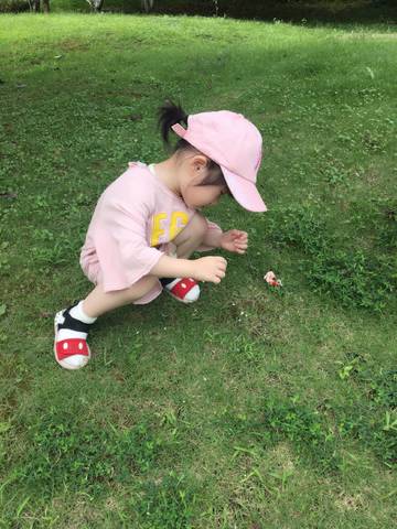 journal_insert_pic_778452115