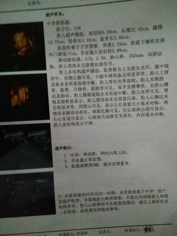 journal_insert_pic_778489820
