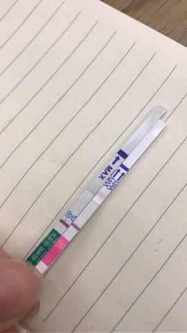 journal_insert_pic_779826906