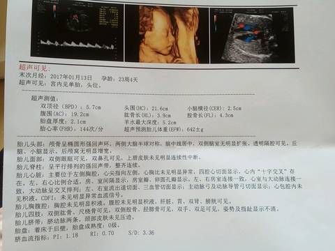 journal_insert_pic_780075475