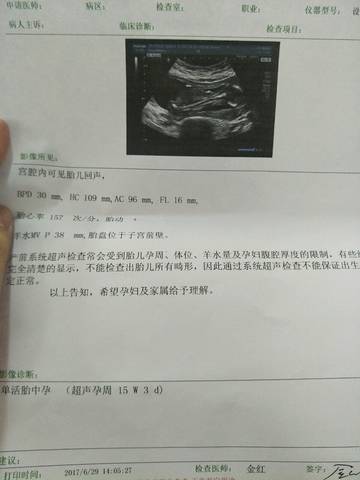 journal_insert_pic_780336611